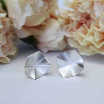Silverloppor