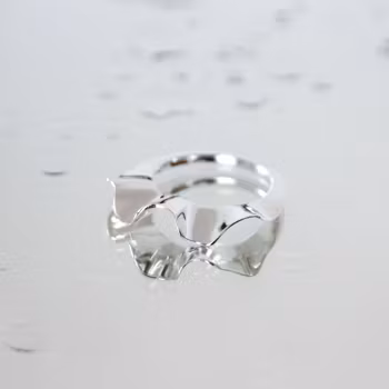 Moon jelly, ring