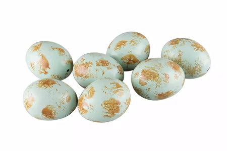 Hönsägg Mintgrön med stänk