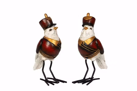 Fågel Kapten Poly