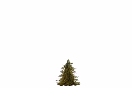 Gran Fjäder Grön