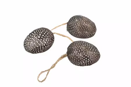Ägg Prick Fjäder Häng