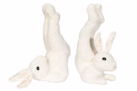 Hare Workout Vit