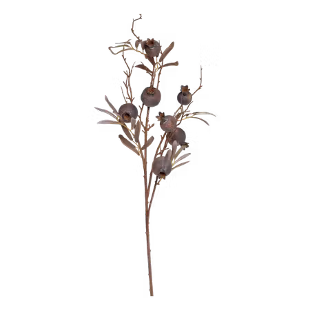 Fleur Gren m, Frökapsel