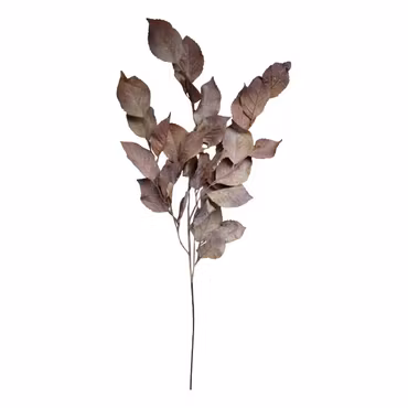 Fleur Gren m, Blad