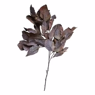 Fleur Gren m, Blad