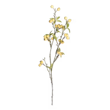 Fleur Gren m, havtorn