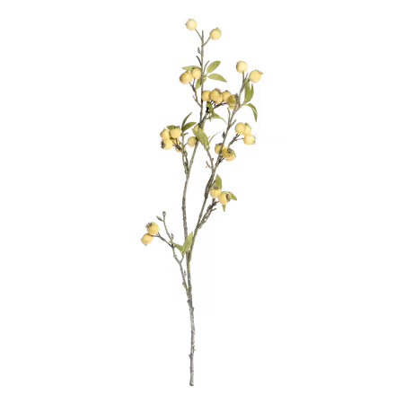 Fleur Gren m, havtorn