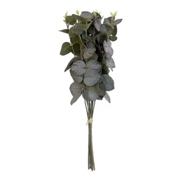 Fleur Eukalyptus bukett