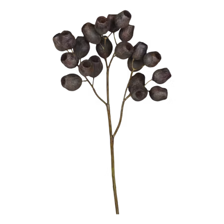 Fleur Eukalyptus bukett