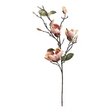 Fleur Magnolia
