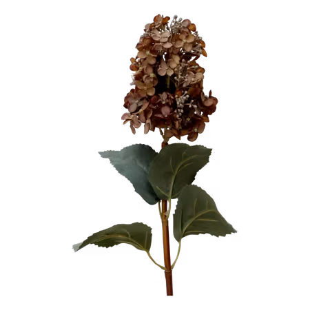 Fleur Hortensia