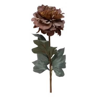 Fleur Pion