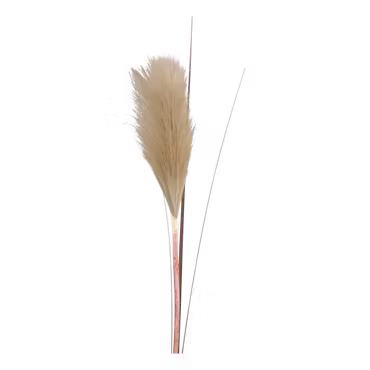 Fleur Gren m frökapsel