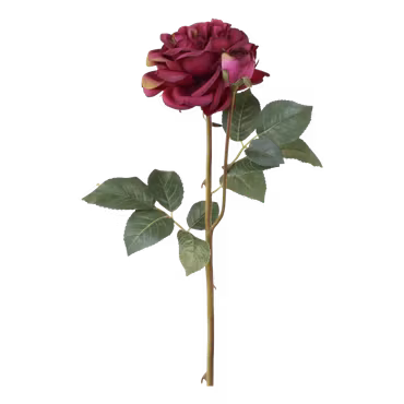 Fleur Ros