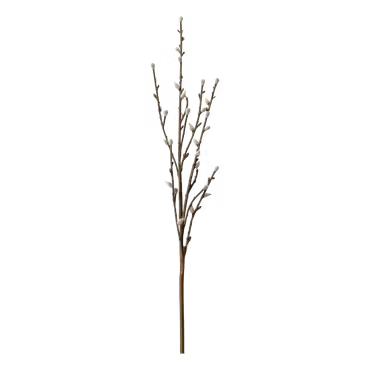Fleur Gren