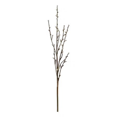 Fleur Gren