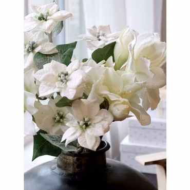 Fleur Amaryllis med snö & glitter