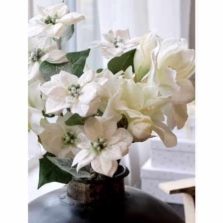 Fleur Amaryllis med snö & glitter