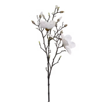 Fleur Magnolia