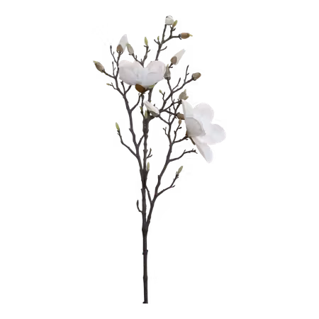 Fleur Magnolia