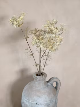 Fleur Skærmblomst