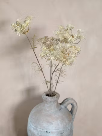 Fleur Skærmblomst