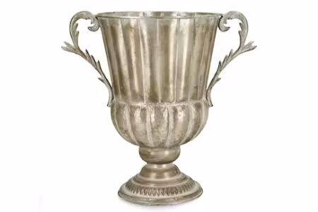 Kruka Pokal Laleh Champagne