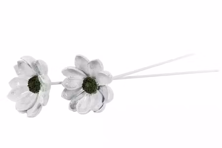 Blomma Fleur Pinne Grön Poly