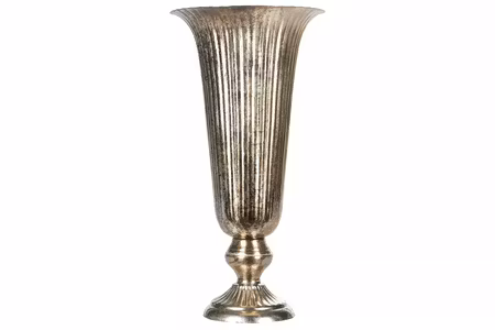 Pokal Rex Champagne