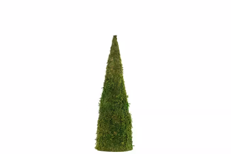 Mosskrans Ex.Tjock