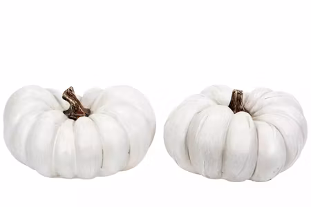Pumpa Vit Mix Poly