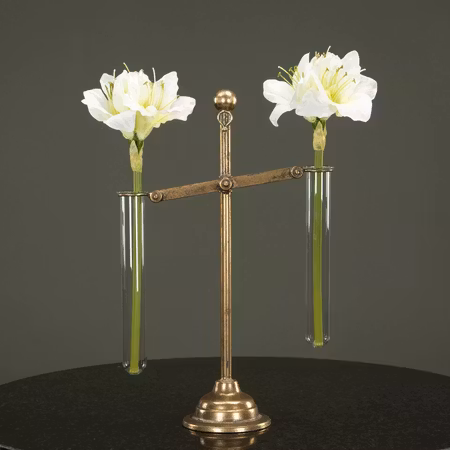 Vågskål Amaryllis Provrör G.Brun