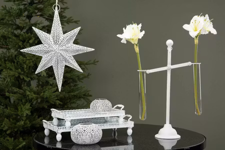 Vågskål Amaryllis Provrör Vit
