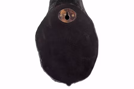 Hjort Huvud Poly