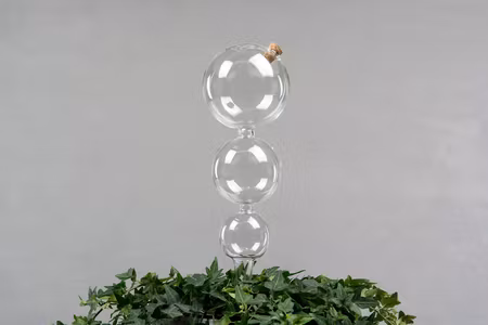 Bevattningsglas Bubbla
