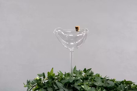 Bevattningsglas Fågel