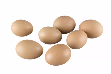 Hönsägg Brun