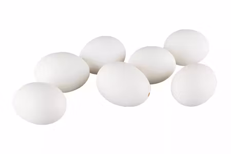 Hönsägg Vit