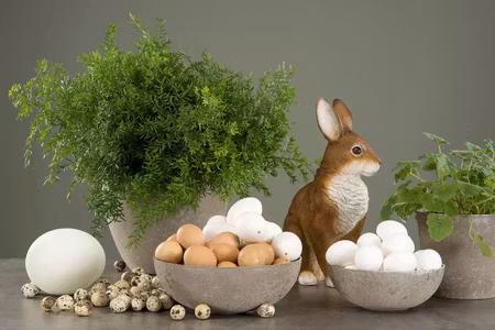 Hönsägg Brun