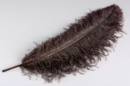 Strutsfjäder Mörkbrun