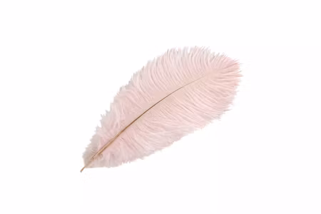 Strutsfjäder Ljusrosa