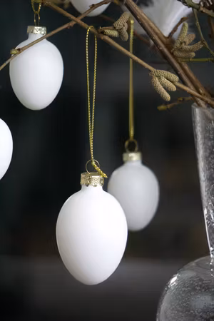 Ägg Glas Vita