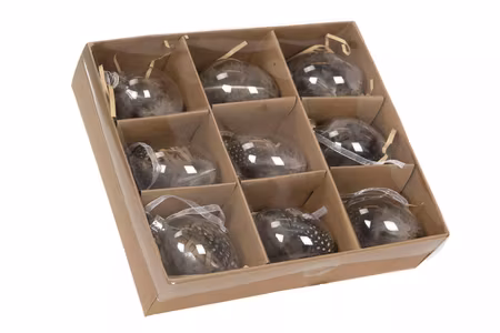 Ägg Glas Klar Vit
