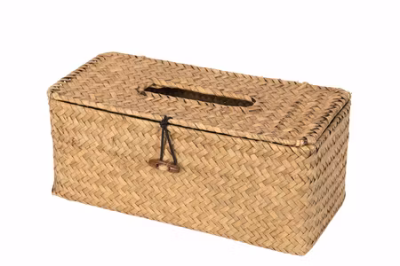 Behållare Tissue Natur