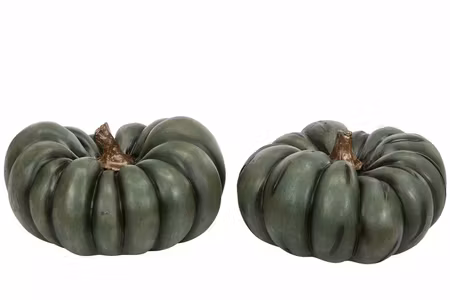 Pumpa Grön Mix Poly