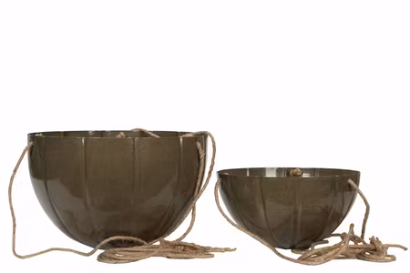 Ampel Frilly Olive