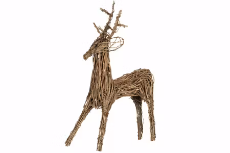 Ren Crazy Lian Natur