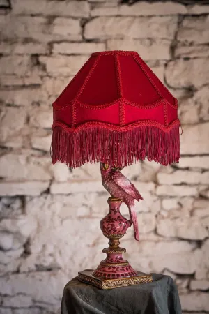 Lampfot Papegoja