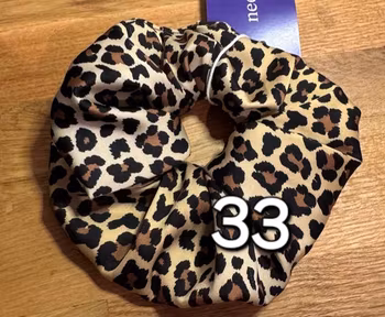 Leopard nr 33